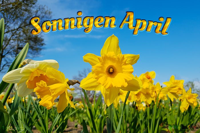 Sonnigen April