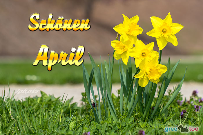Schoenen April Bild - 1gb.pics