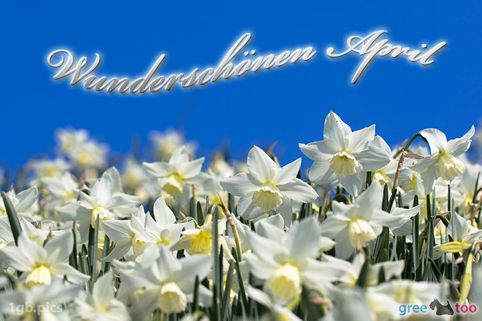 Wunderschoenen April Bild - 1gb.pics