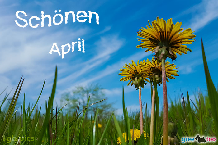 Loewenzahn Himmel Schoenen April