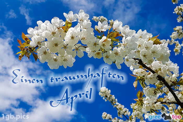 Kirschblueten Einen Traumhaften April