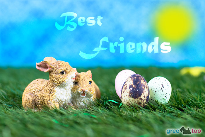 Best Friends Bild - 1gb.pics