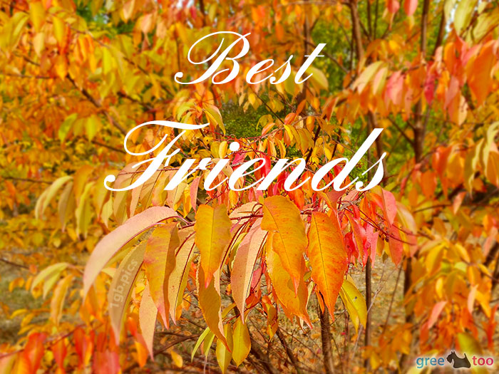 Best Friends von 1gbpics.com