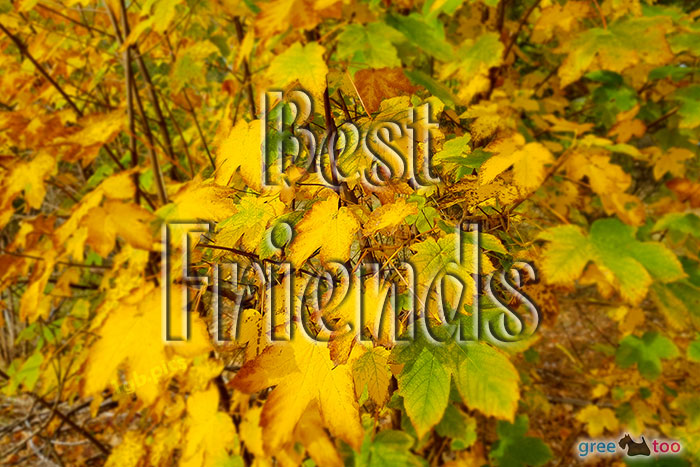 Best Friends von 1gbpics.com