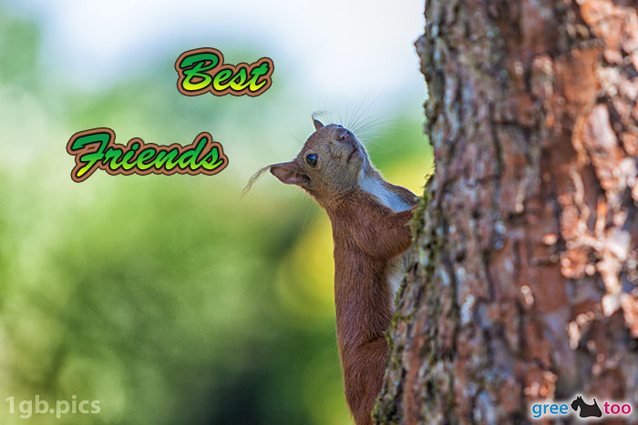 Best Friends von 1gbpics.com