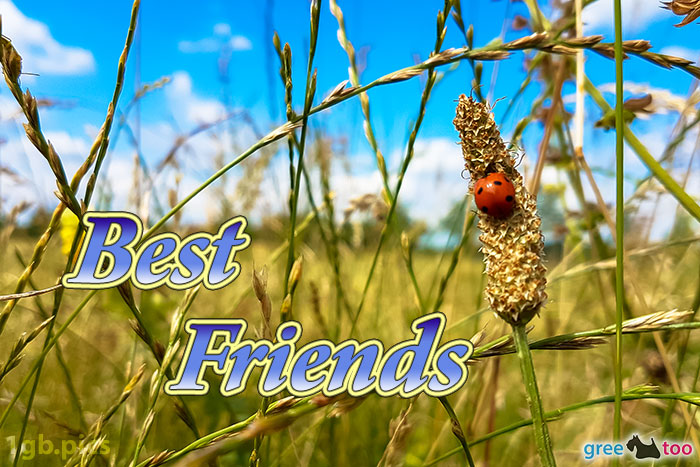 Best Friends von 1gbpics.com