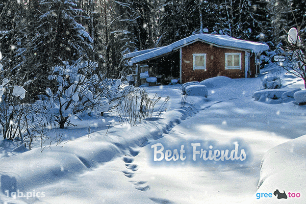 Verschneite Gruesse Best Friends Bild - 1gb.pics