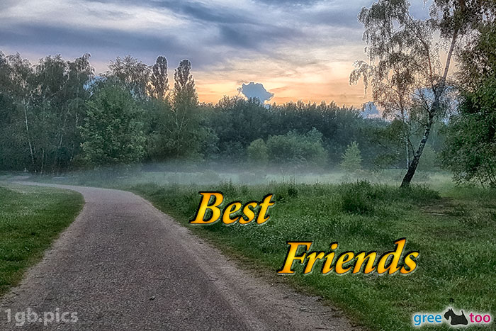 Nebel Best Friends Bild - 1gb.pics