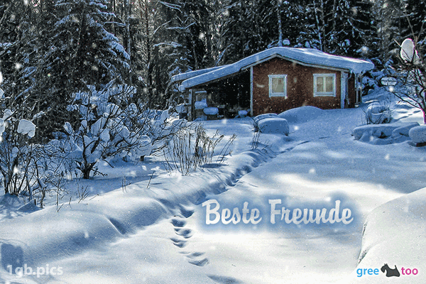 Verschneite Gruesse Beste Freunde Bild - 1gb.pics