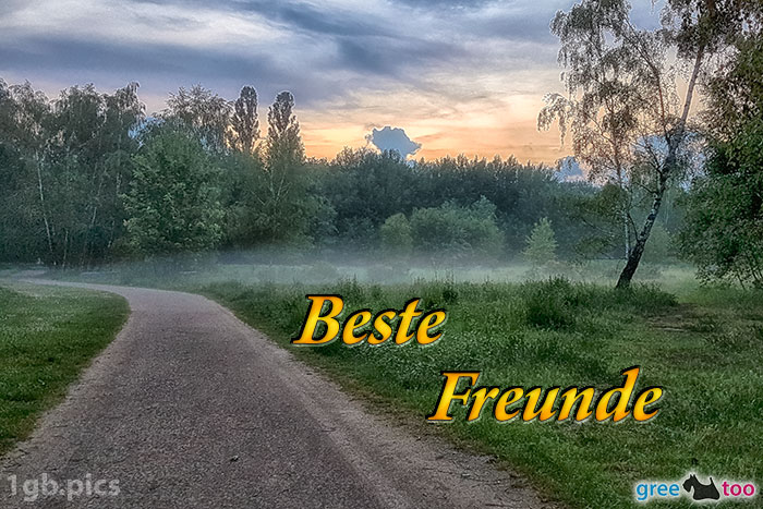 Nebel Beste Freunde