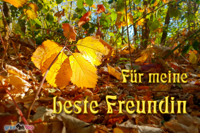 Beste Freundin von 1gbpics.com