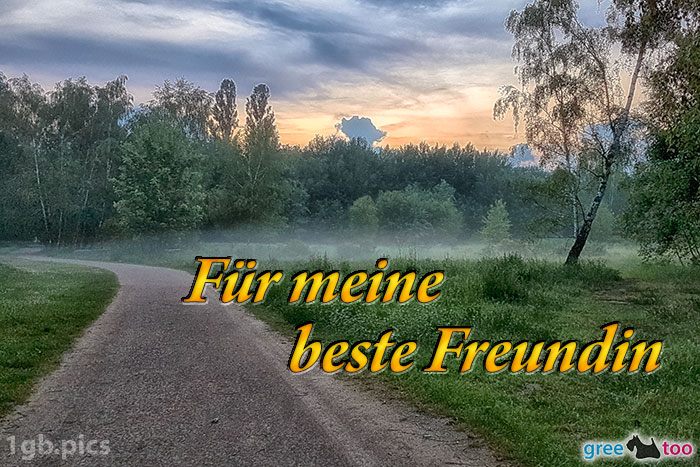 Nebel Fuer Meine Beste Freundin