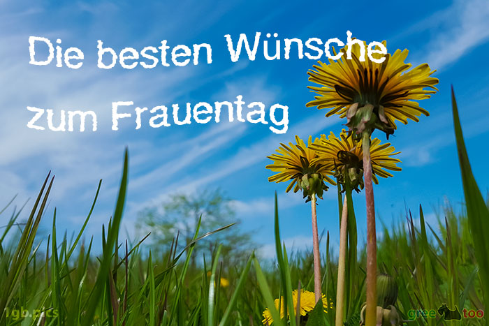 Die Besten Wuensche Zum Frauentag