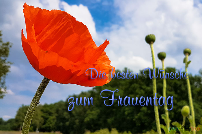 Die Besten Wuensche Zum Frauentag