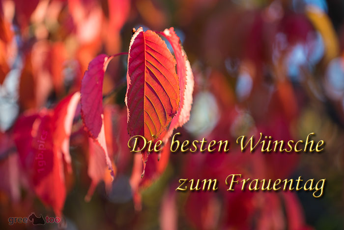 Die Besten Wuensche Zum Frauentag