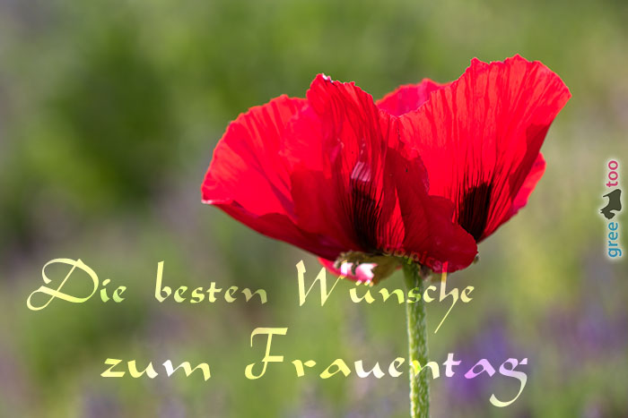 Die besten Wünsche zum Frauentag von 1gbpics.com