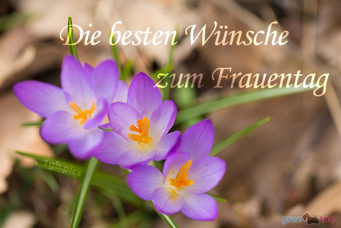 Die besten Wünsche zum Frauentag von 1gbpics.com