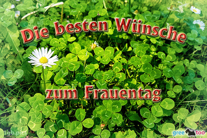 Die Besten Wuensche Zum Frauentag