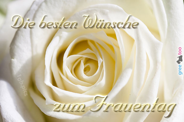 Die besten Wünsche zum Frauentag von 1gbpics.com