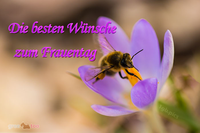 Die Besten Wuensche Zum Frauentag