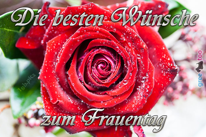 Die besten Wünsche zum Frauentag von 1gbpics.com