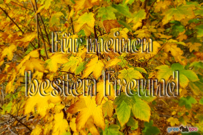 Fuer Meinen Besten Freund