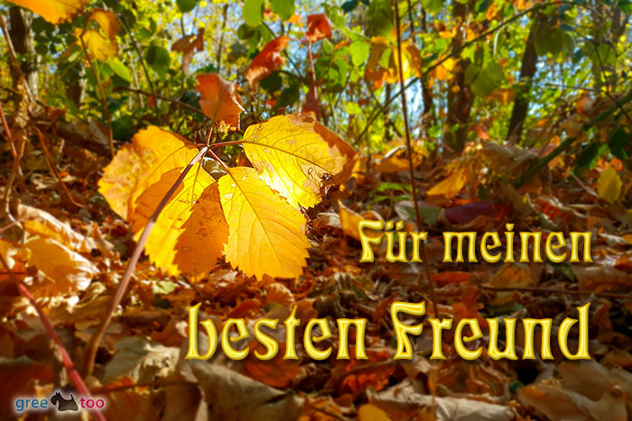 Fuer Meinen Besten Freund