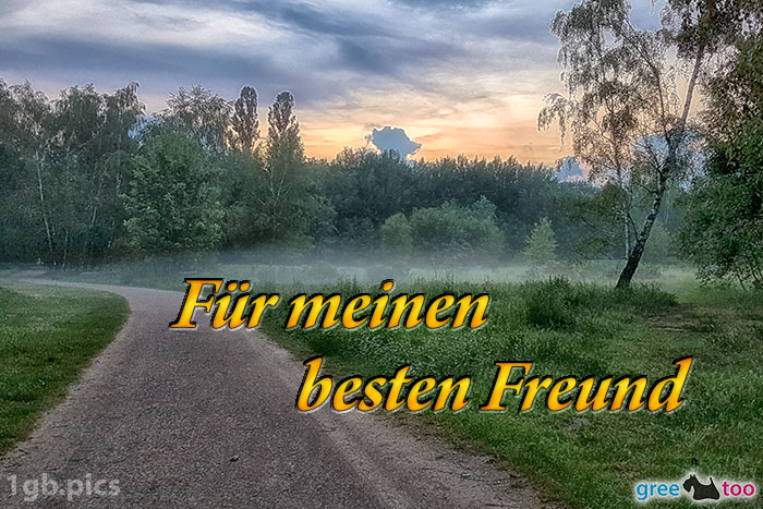 Nebel Fuer Meinen Besten Freund