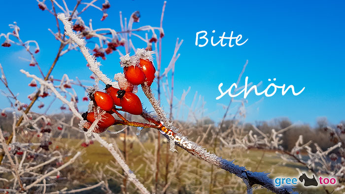 Bitte Schoen