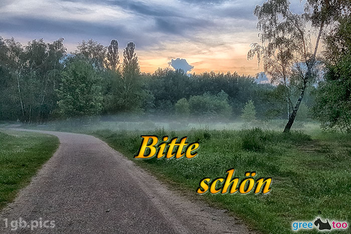 Nebel Bitte Schoen