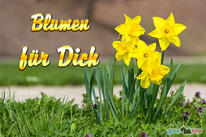 Blumen Fuer Dich