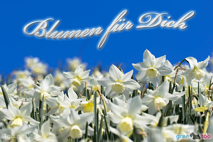 Blumen Fuer Dich