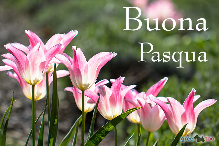 Buona Pasqua