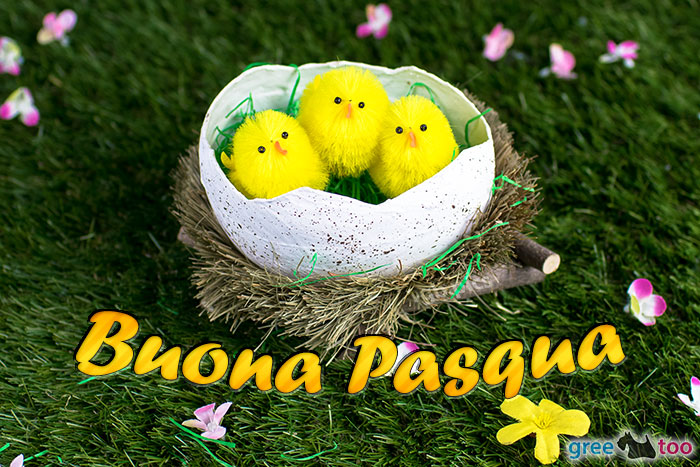Buona Pasqua Bild - 1gb.pics