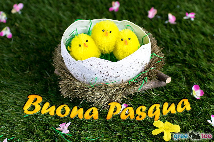 Buona Pasqua