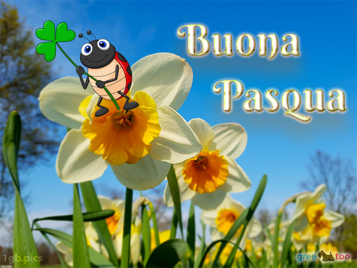 Buona Pasqua von 1gbpics.com