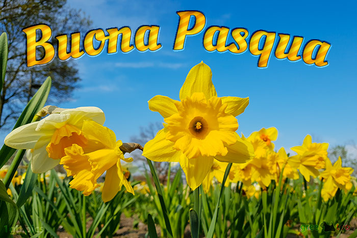 Buona Pasqua