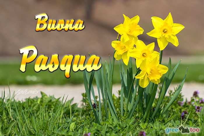 Buona Pasqua von 1gbpics.com