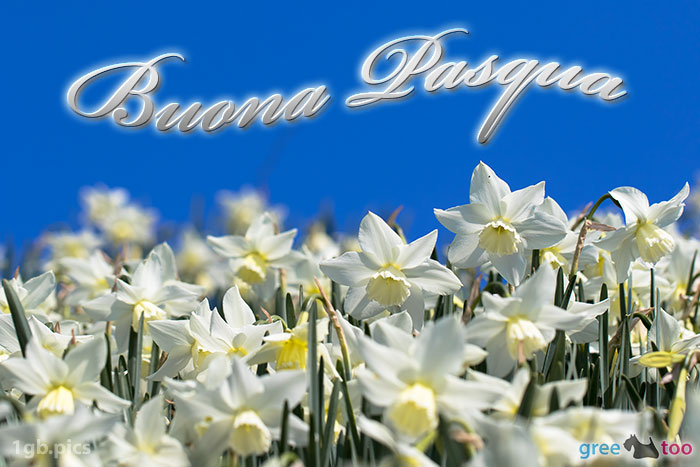 Buona Pasqua von 1gbpics.com