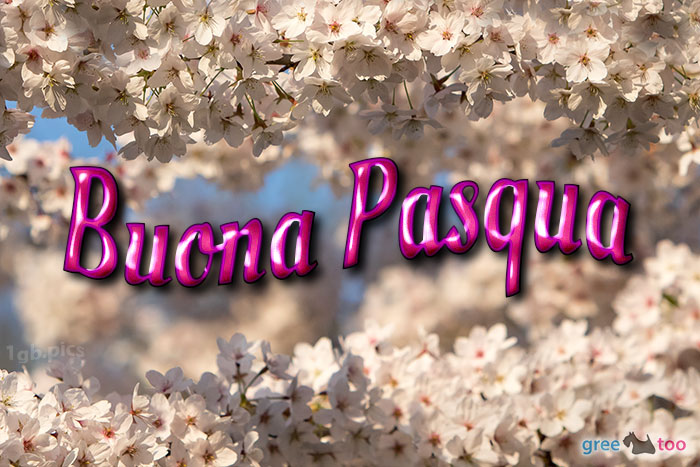 Buona Pasqua von 1gbpics.com