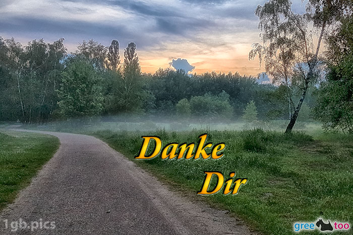 Nebel Danke Dir