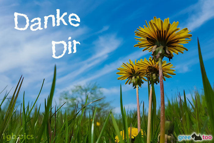 Danke Dir von 1gbpics.com