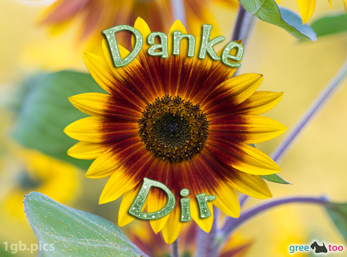 Sonnenblume Danke Dir