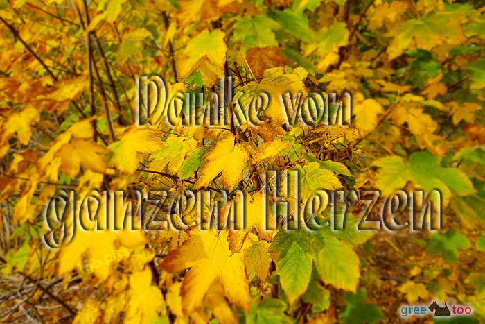 Danke Von Ganzem Herzen