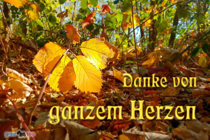 Danke Von Ganzem Herzen