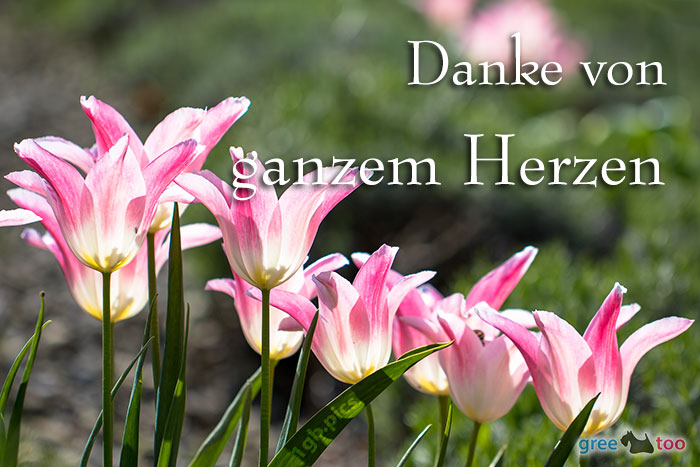 Danke Von Ganzem Herzen