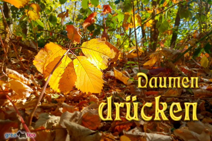 Daumen Druecken