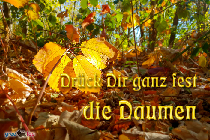 Drueck Dir Ganz Fest Die Daumen