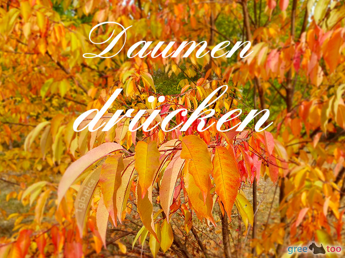 Daumen Druecken