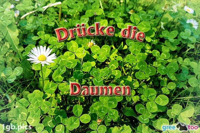 Daumen drücken von 1gbpics.com